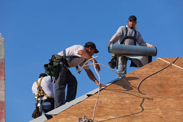 Best Shingle Roofing Installation  in Muskegon Heights, MI