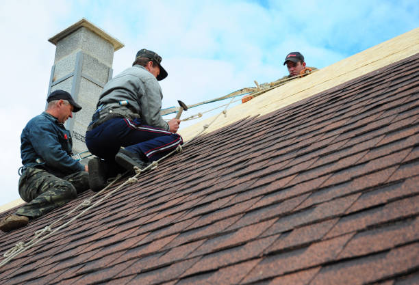 Best Roof Repair Services  in Muskegon Heights, MI